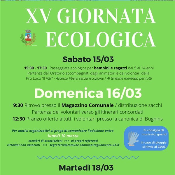 r311377?v=376695&ext=.jpg