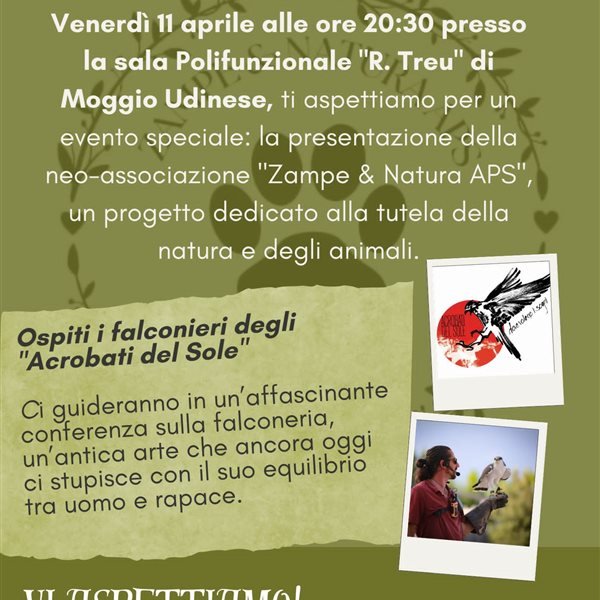 r314394?v=380412&ext=.jpg