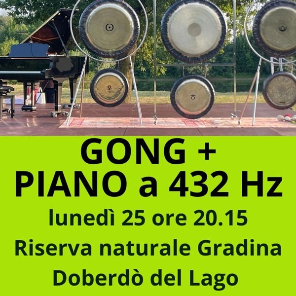 r333637?v=404546&ext=.jpg