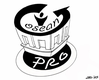 Logo Pro Loco Cosean