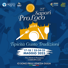 SPL_1000x1000_(villa manin)_0525