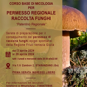 r261425?v=314381&ext=.jpg
