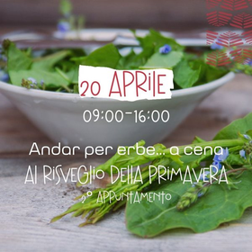 r262497?v=315949&ext=.jpg