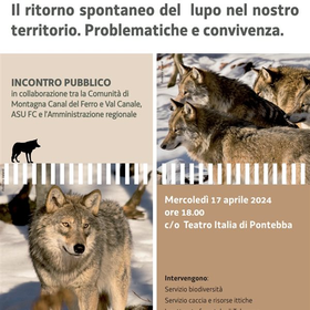 r262673?v=316161&ext=.jpg