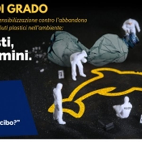 r289061?v=343443&ext=.jpg