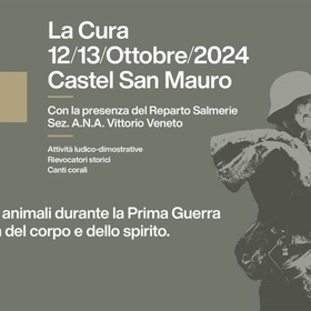 r294261?v=351780&ext=.jpg