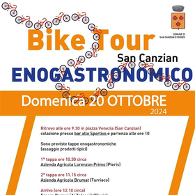 r295021?v=352777&ext=.jpg