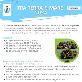 r295497?v=353588&ext=.jpg