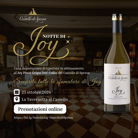r295688?v=353912&ext=.jpg