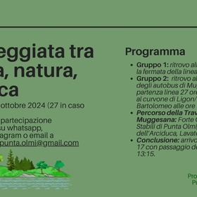 r295862?v=354190&ext=.jpg