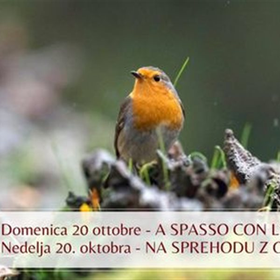r296412?v=354891&ext=.jpg