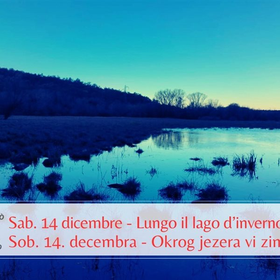 r302173?v=364821&ext=.jpg