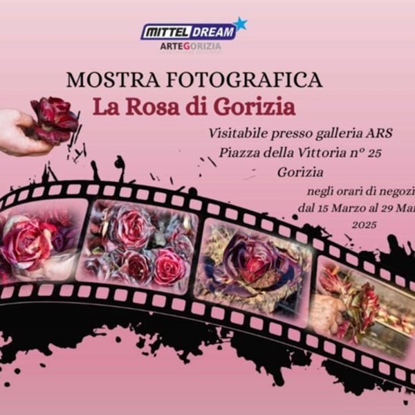 r309415?v=373978&ext=.jpg