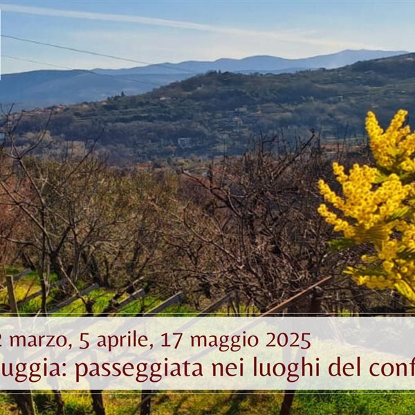 r311396?v=376751&ext=.jpg