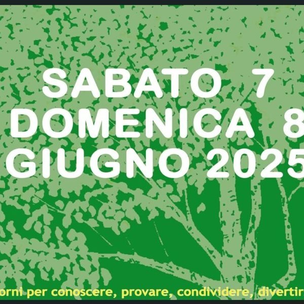 r313436?v=391072&ext=.jpg