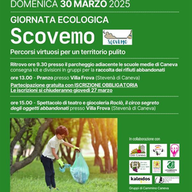 r313455?v=379258&ext=.JPG