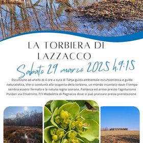 r313472?v=379283&ext=.jpg
