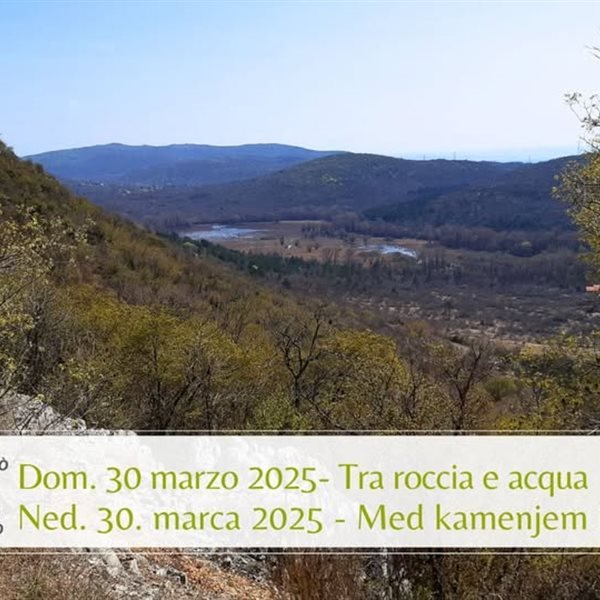 r313473?v=379284&ext=.jpg