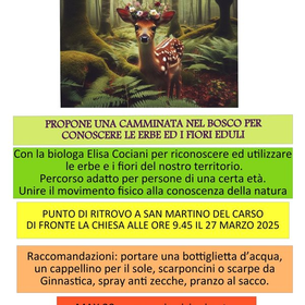 r313657?v=379482&ext=.jpg