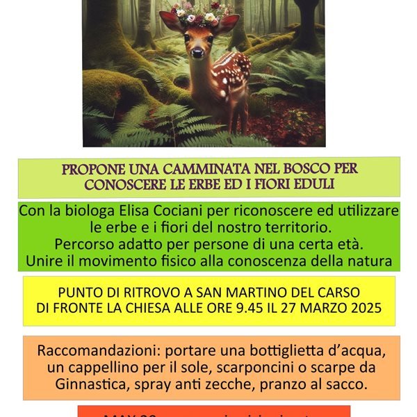 r313657?v=379482&ext=.jpg
