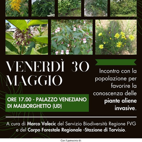 r315339?v=381782&ext=.jpg