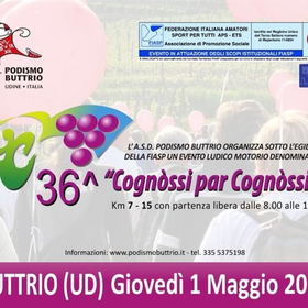 r316135?v=382738&ext=.jpg