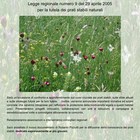 r321359?v=388825&ext=.jpg