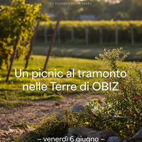 r323211?v=391225&ext=.jpg