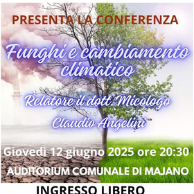 r325587?v=394550&ext=.jpg