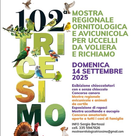r335239?v=406558&ext=.jpg
