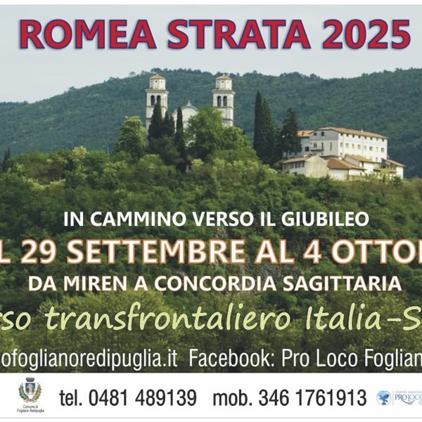 r336335?v=407858&ext=.jpg
