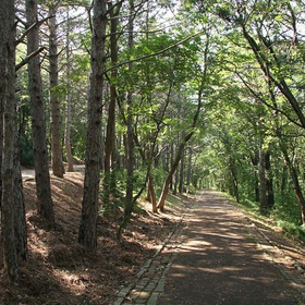 r336382?v=407929&ext=.jfif