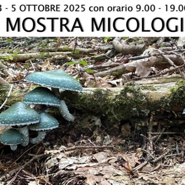 r336885?v=408596&ext=.jpg