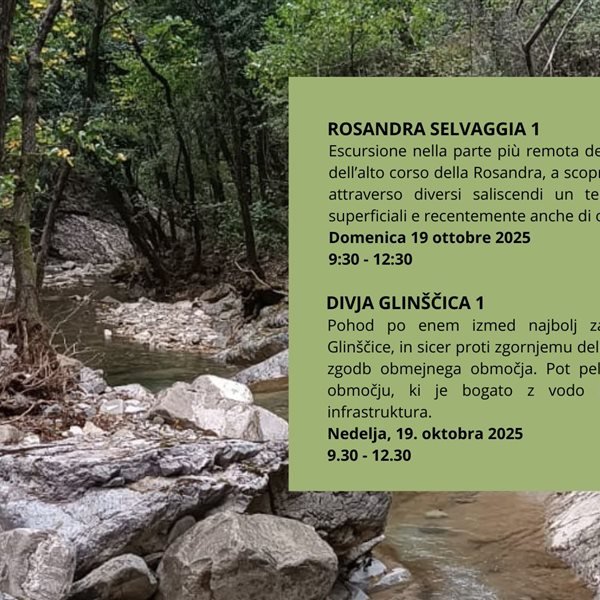 r342799?v=414395&ext=.jpg