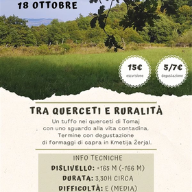 r342811?v=414407&ext=.jfif