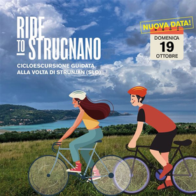 r342812?v=414410&ext=.jfif