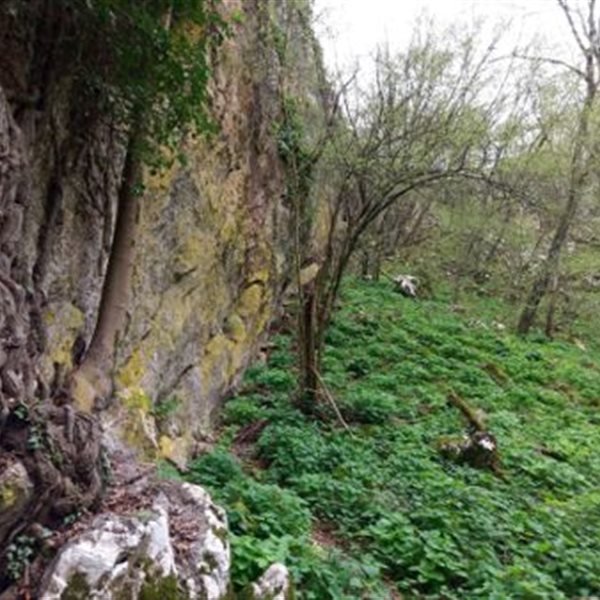 r353906?v=431098&ext=.jfif