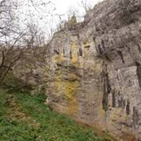 r355679?v=433773&ext=.jfif