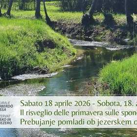 r359573?v=439562&ext=.jpg