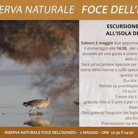r360984?v=441633&ext=.jpg