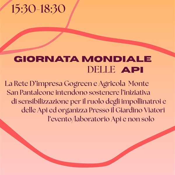 r363315?v=444642&ext=.jpg