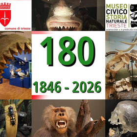 r365359?v=448445&ext=.jpg
