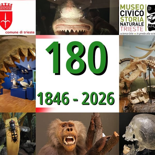 r365359?v=448445&ext=.jpg