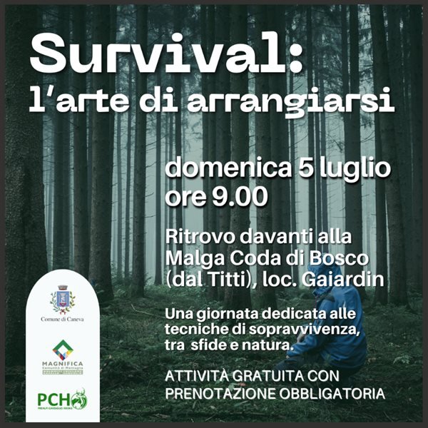 r367968?v=451487&ext=.png