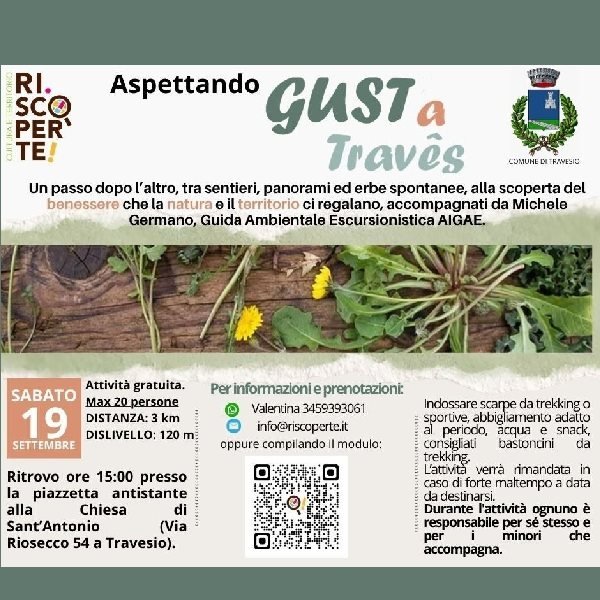 r375354?v=462294&ext=.jpg