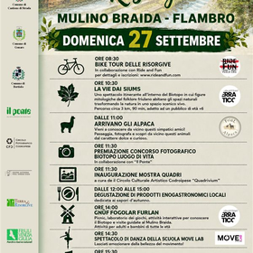 r375946?v=463255&ext=.jpg